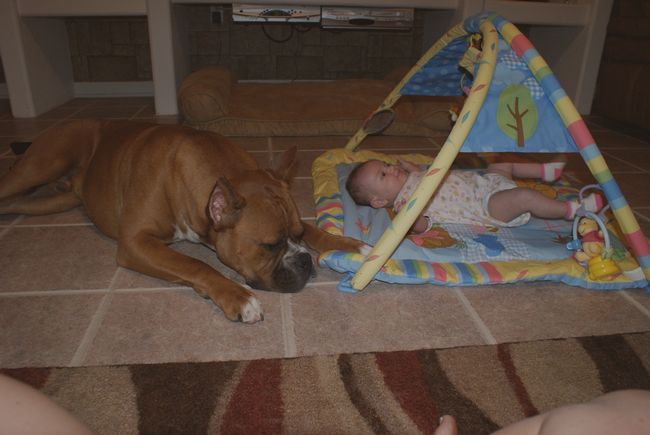 Hurley is watching Skylyn
