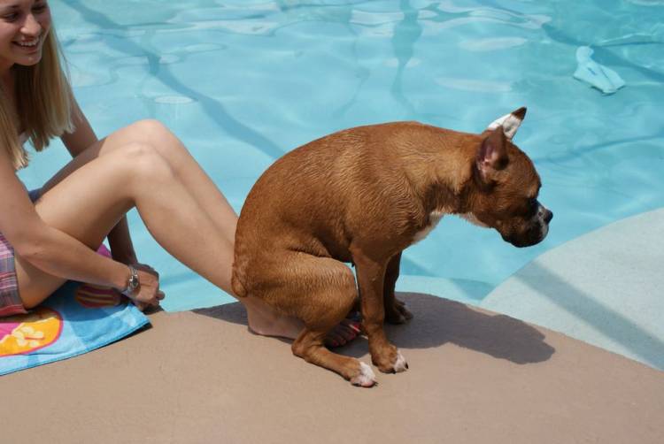 Hurley relaxing on Becca