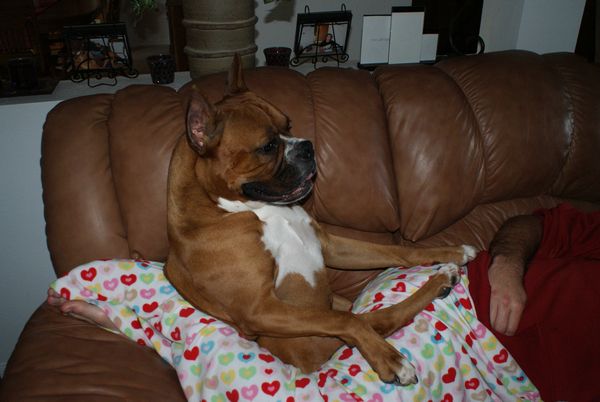 Hurley sitting on the couch