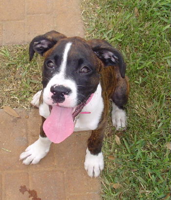 Hurley