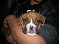 Hurley