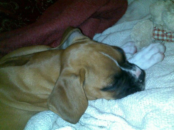hurley3