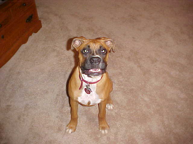 Hurry Momma, I can only smile for a minute.