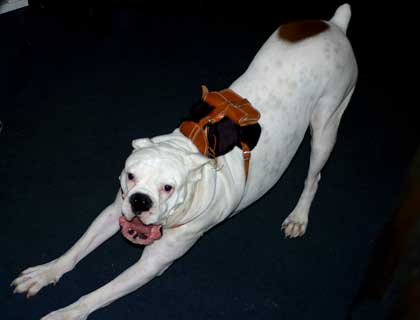 Hurry up there! i'm ready yet!