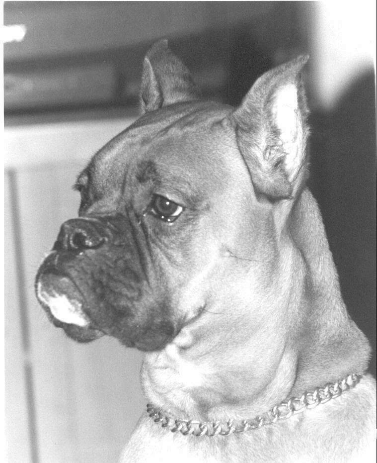 Hutch.... My heart is touched