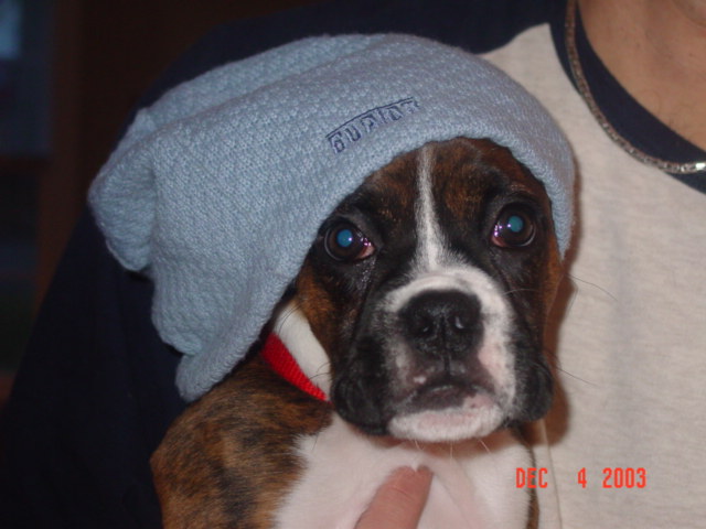 I am all ready for snow!