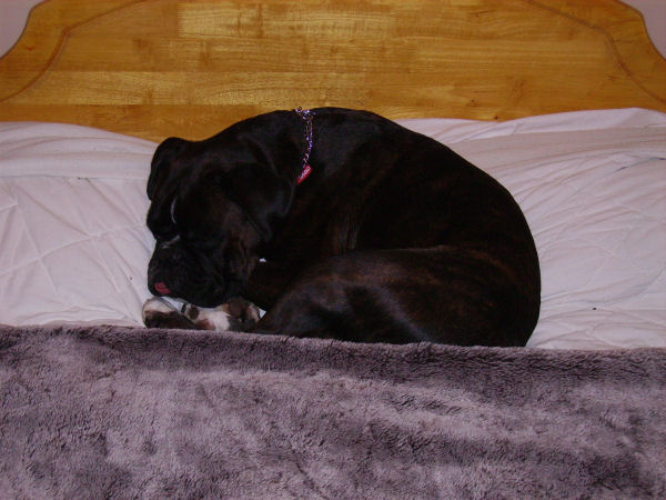 I am going to sleep in your bed