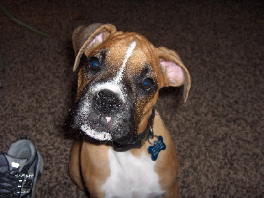 I am innocent mom, I promise!!!