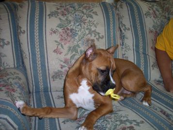 I am just a baby......