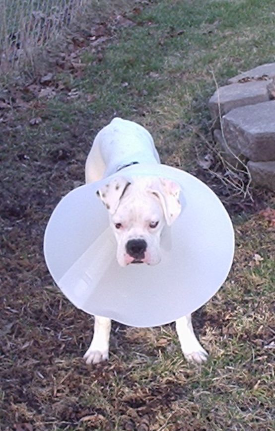 I am not HAPPY!