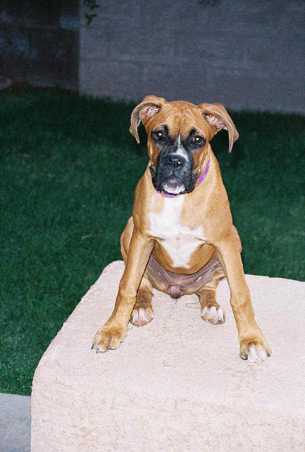 I am queen of the back yard!