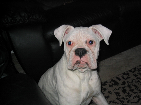 I Am Ready for my close up!