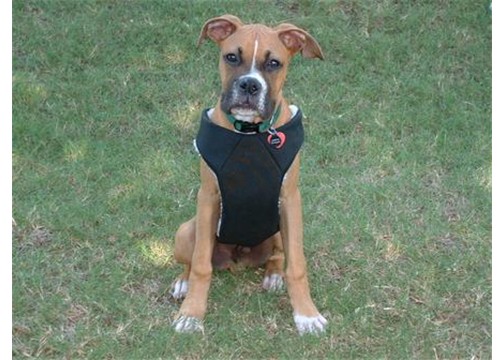 I am ready for the car!