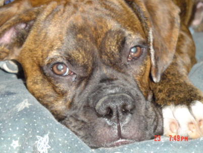 I am so.... camera shy!!