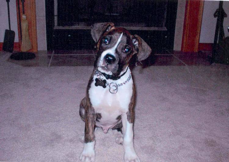 I am so darn cute!
