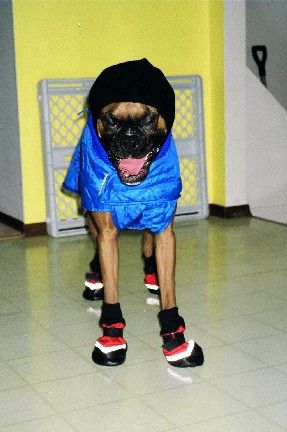I am so ready to go outside now!