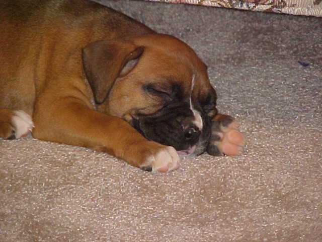 I am so tired.