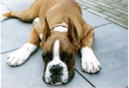I am sooooo tired
