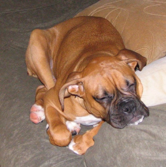 I am sooooooo tired!!