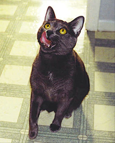 I can already taste it!