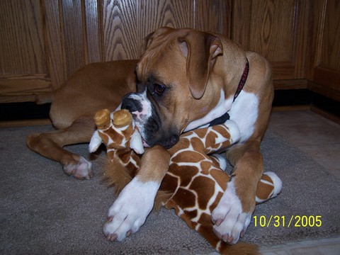I can fit his whole face in my mouth!