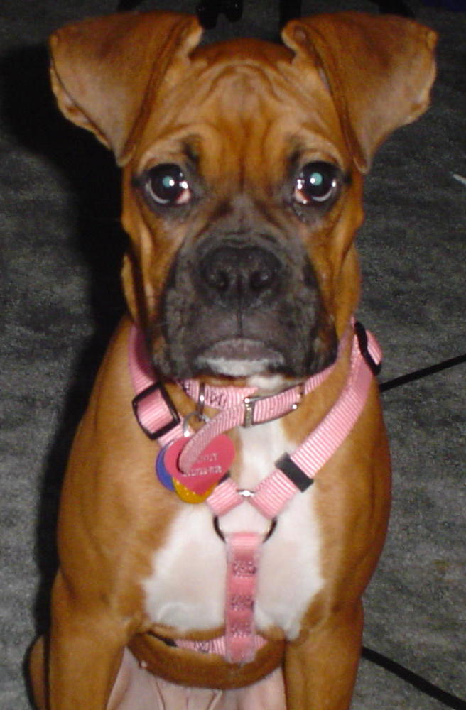 I can get away with anything....