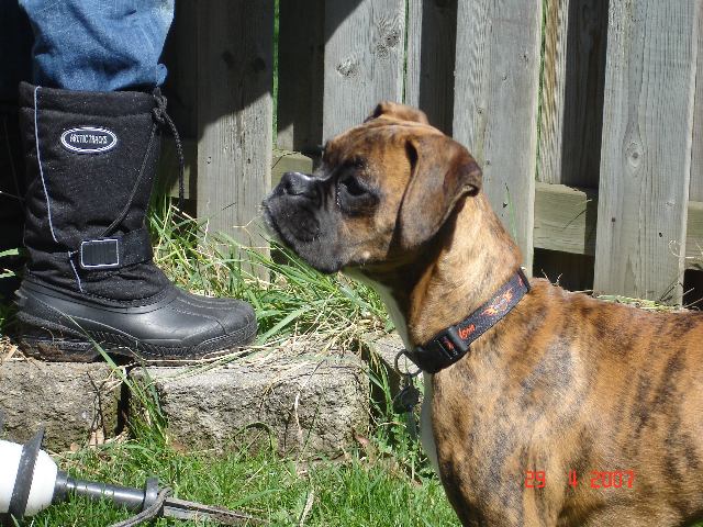 I can help in the garden!