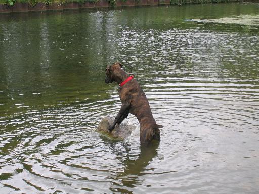 I can see the pub from 'ere