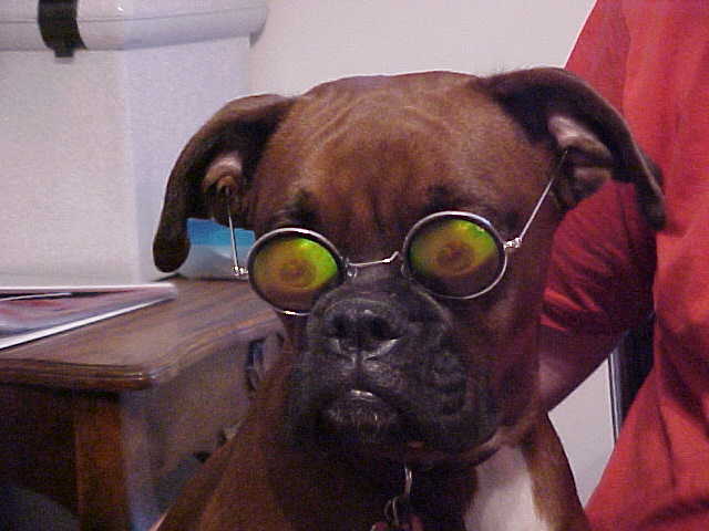 I Can See!