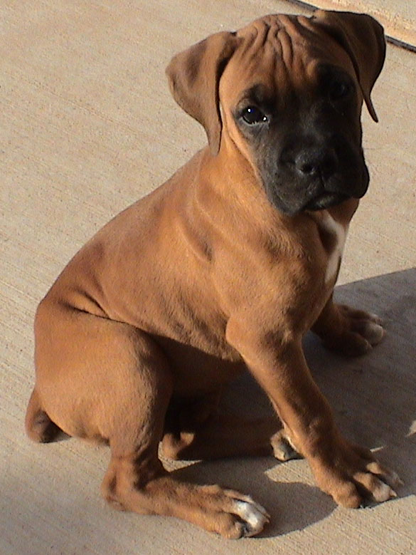 i can sit