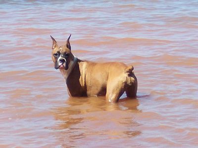I can swim.. I can swim