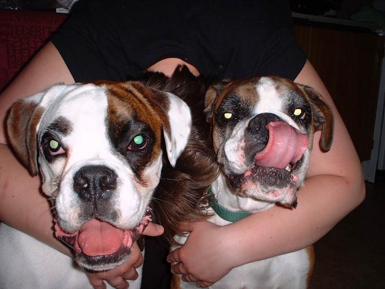 I can touch my nose with my tongue