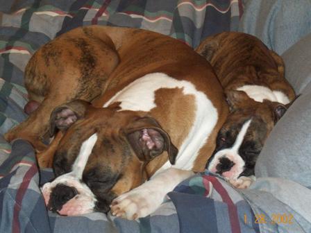 I cant move he's smooshing me!