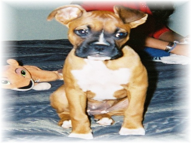 I couldn't hold my ear up much longer