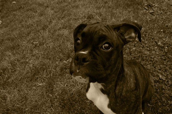 I didn't dig that hole.....Do I LOOK like I'm lying??