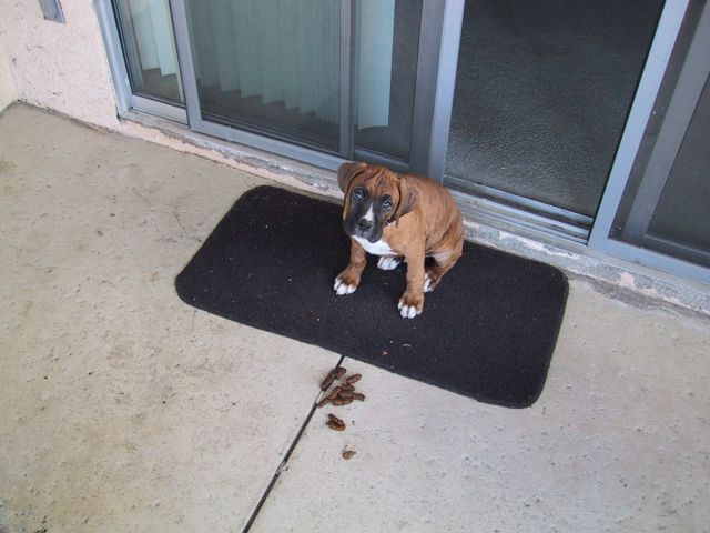 I didnt do it.