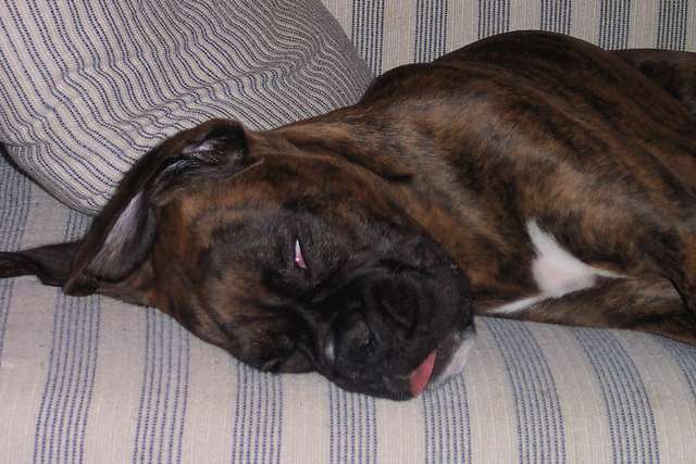 I do like to sleep...