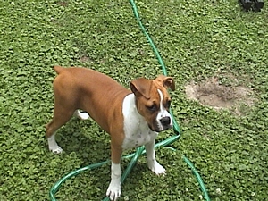 I don't dig dad, honest!