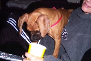 I don't get the straw thing