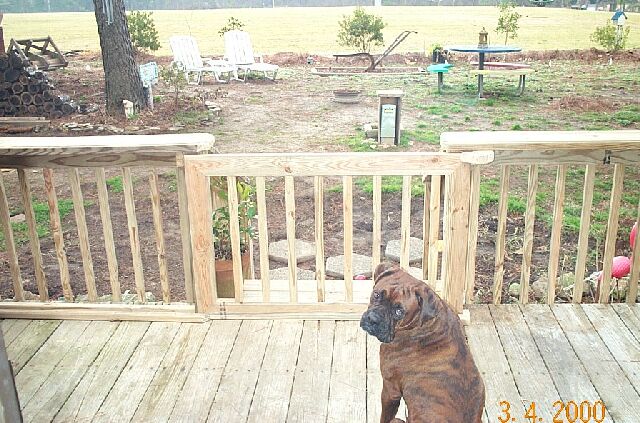 I dont like this new playpen
