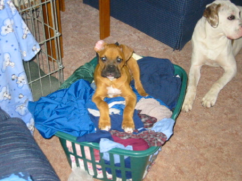 I don't remember washing that?!?!