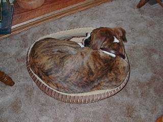 I don't think you fit!