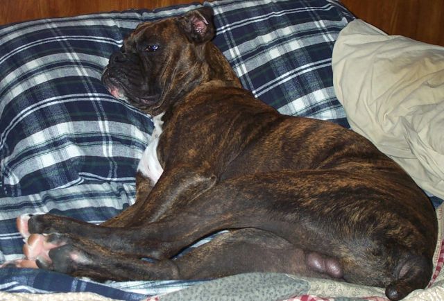 I don't want a nap!!