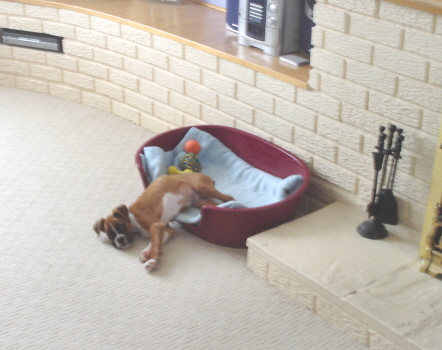 I fell out of bed mum !