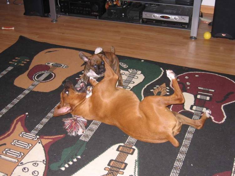 I got her