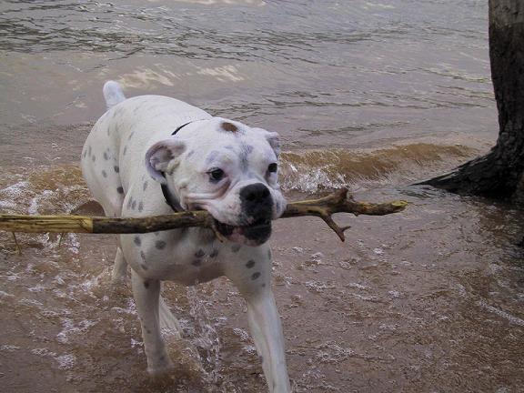 I got it Mom!