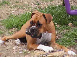 I got my ball!!