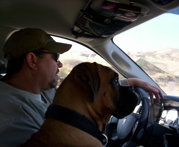 I Got Shotgun!