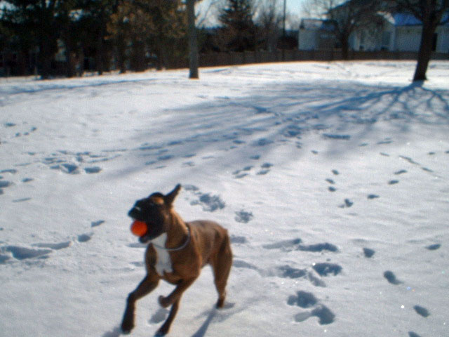 I got the ball!