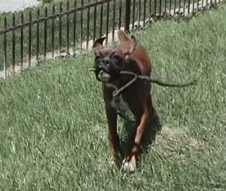 I gots it! I gots it!